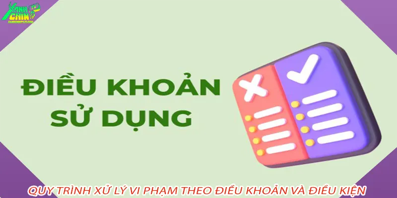 Quy trình xử lý vi phạm theo Điều khoản và điều kiện