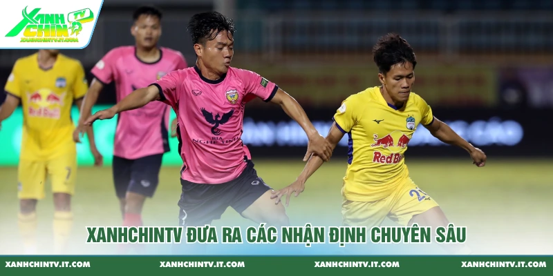 XanhChinTV đưa ra các nhận định chuyên sâu